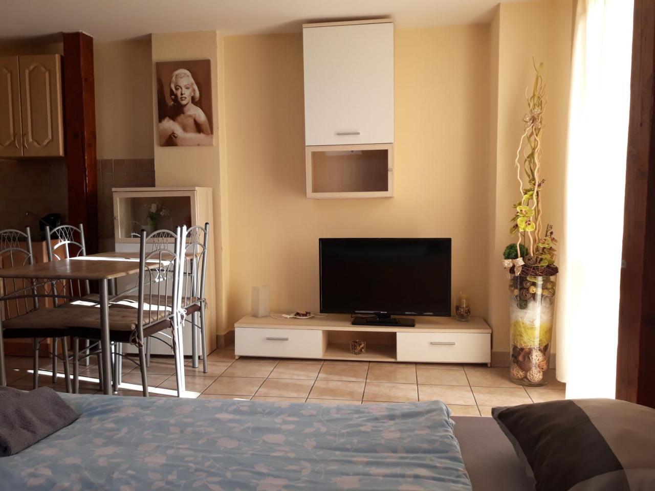 Penzion Fox Nemšová Exterior foto
