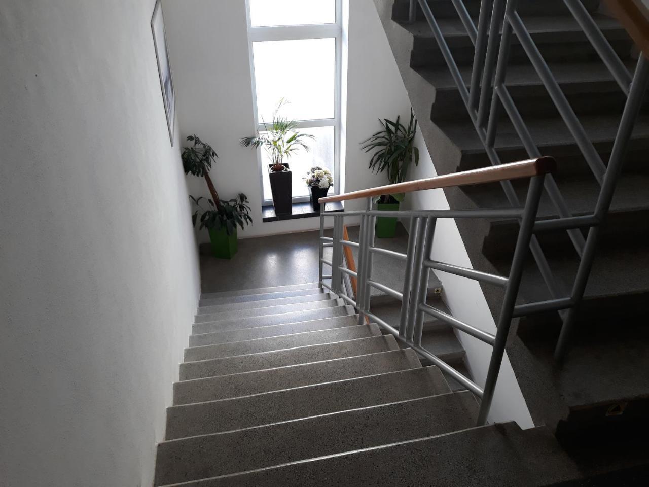 Penzion Fox Nemšová Exterior foto